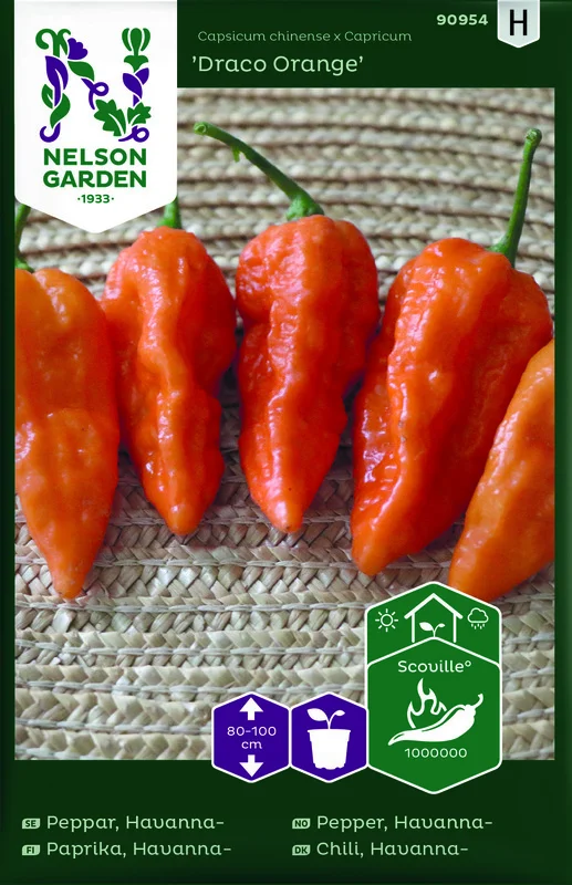 havannapeppar_draco_orange-06943eb86894dd.picture_manager_6943e8a658b11.jpg