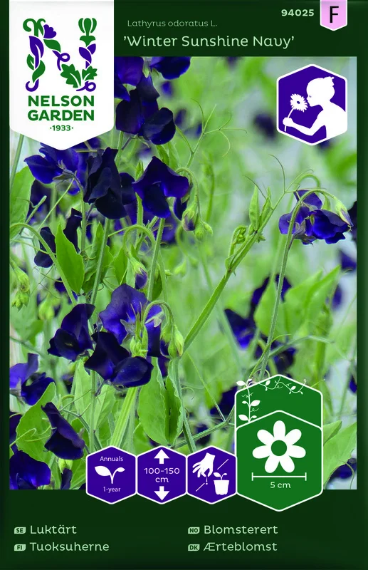 lathyrus_odoratus_winter_sunshine_navy-06943eb876e169.picture_manager_6943e8a7cb189.jpg