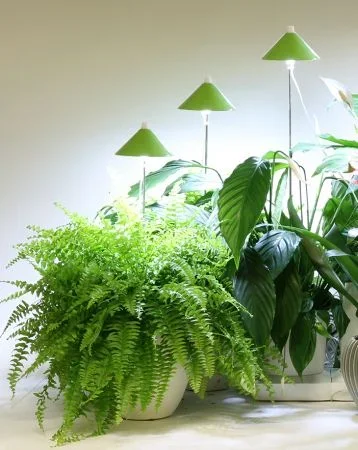 Kasvivalaisin 39,90€