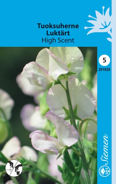lathyrus-high-scent-069721c7e46f78.jpeg