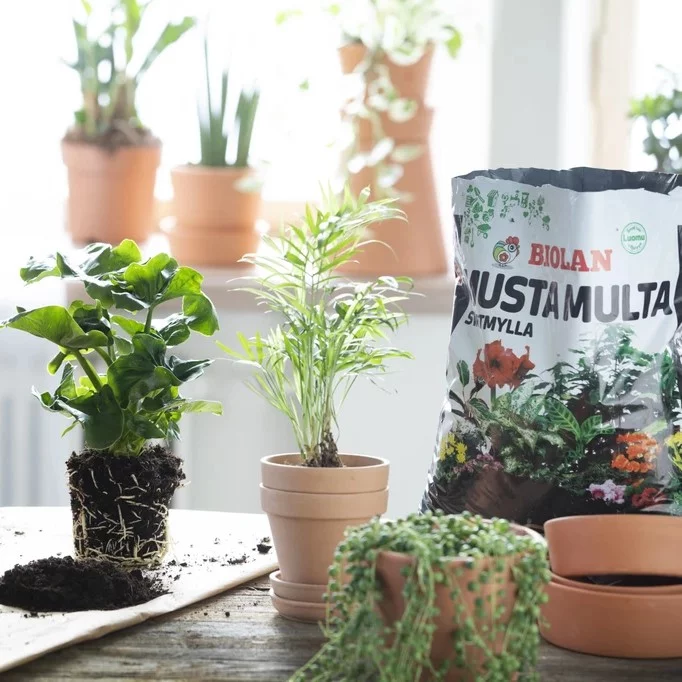 Musta Multa 24 L 5,95€