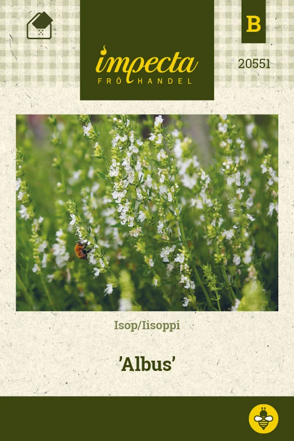 iisoppi_albus-0674d8be908127.picture_manager_674d8bac022c7.jpg