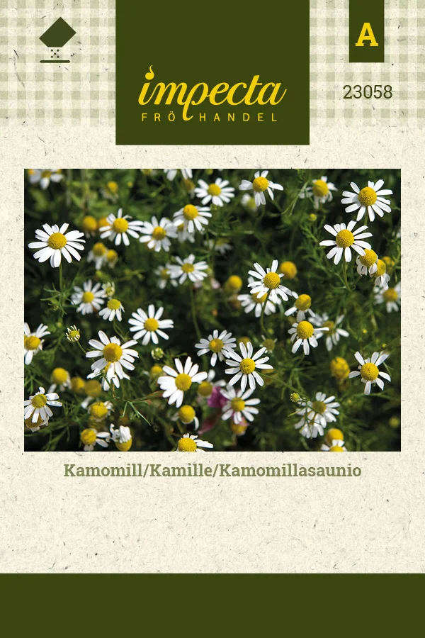 kamomillasaunio-0674d8be9d300e.picture_manager_674d8baf1ab58.jpg