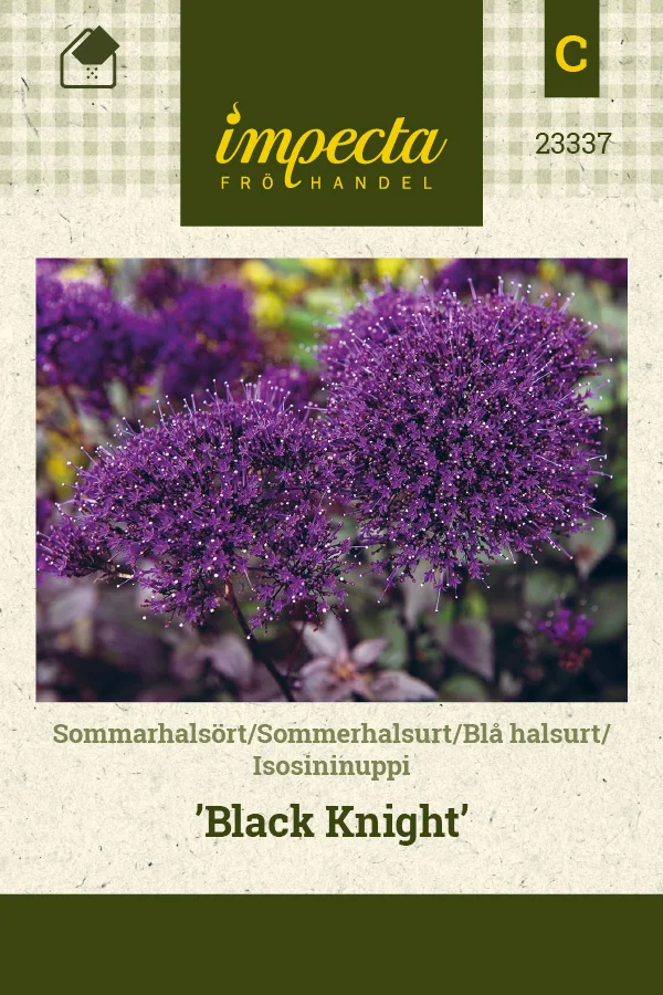 isosininuppi_black_knight-0674d8bea3bea7.picture_manager_674d8bb0ee69e.jpg