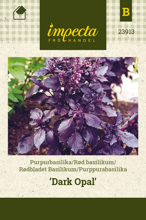 purppurabasilika_dark_opal-0674d8bea8800d.picture_manager_674d8bb28713b.jpg