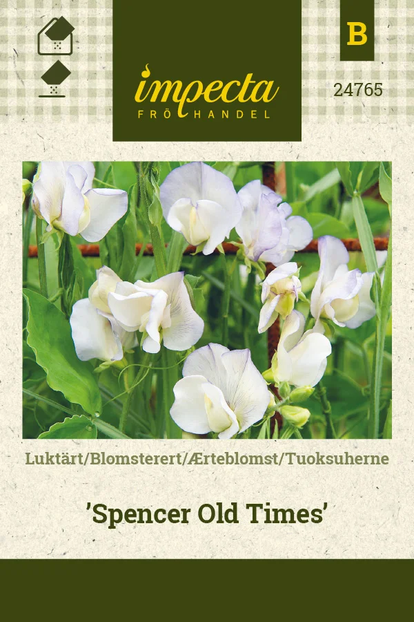 tuoksuherne_spencer_old_times-0674d8beaecf22.picture_manager_674d8bb542502.jpg