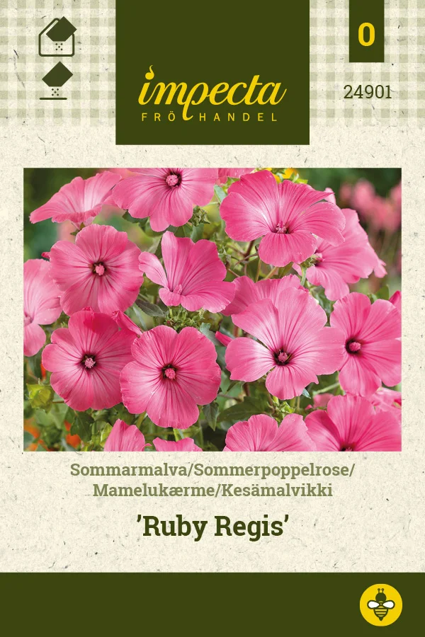 kesamalvikki_ruby_regis-0674d8beb12a33.picture_manager_674d8bb5dedc1.jpg