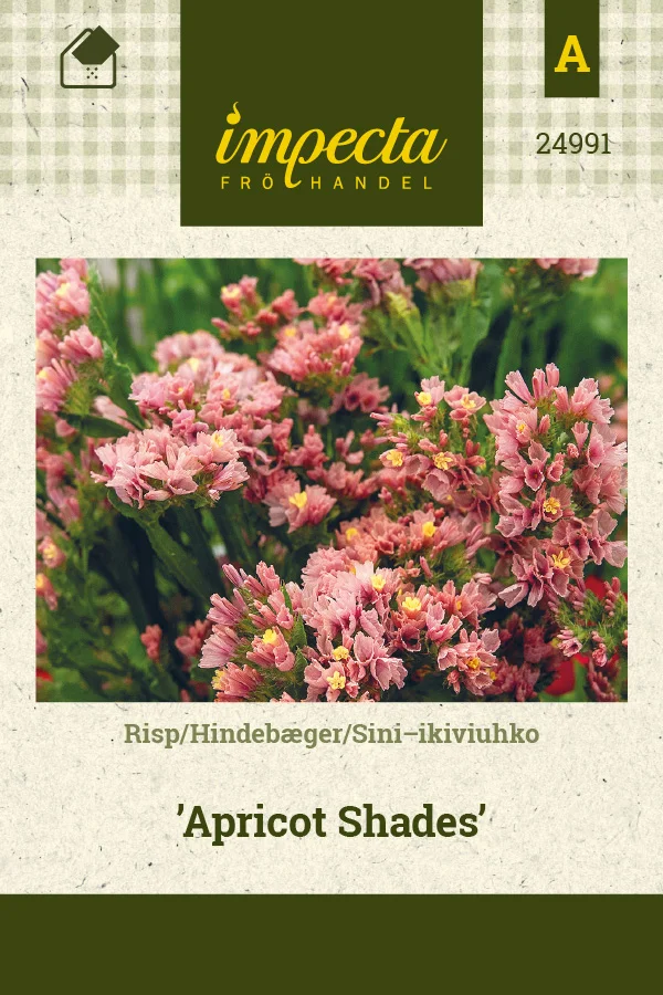 sini_ikiviuhko_apricot_shades-0674d8beb16f98.picture_manager_674d8bb5e2ba9.jpg