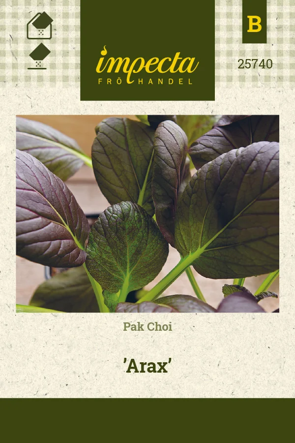 pak_choi_arax-0674d8beb48c31.picture_manager_674d8bb742eee.jpg