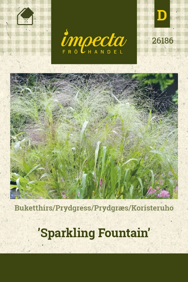 koristeruho_sparkling_fountain-0674d8beb7b536.picture_manager_674d8bb80d42a.jpg
