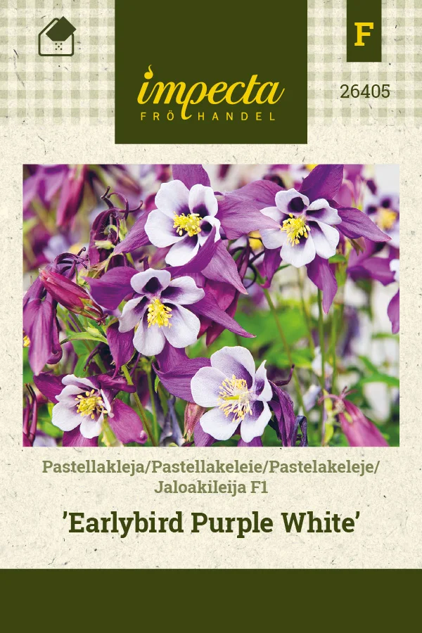 jaloakileija_f1_earlybird_purple_white-0674d8beb8944f.picture_manager_674d8bb841c30.jpg