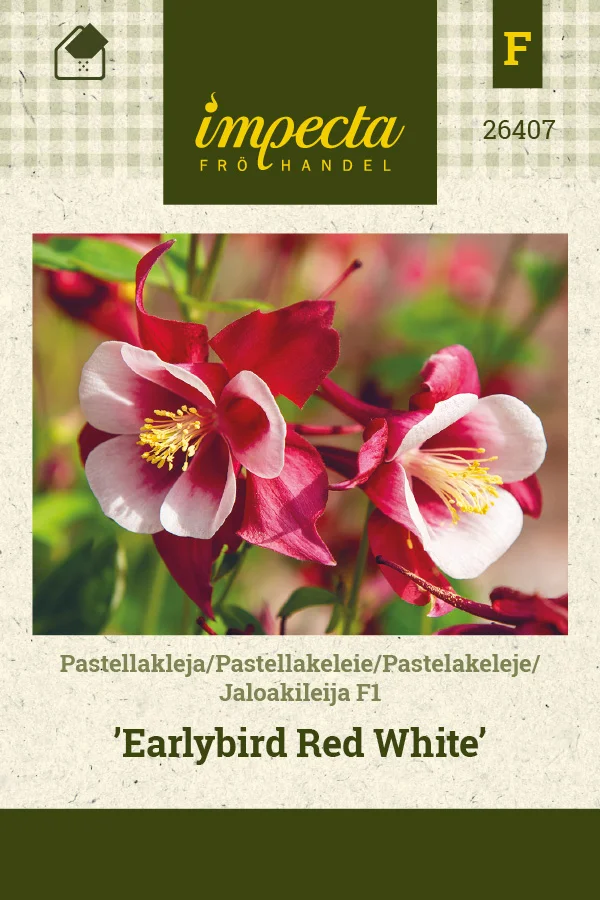 jaloakileija_f1_earlybird_red_white-0674d8beb9a1ab.picture_manager_674d8bb898664.jpg