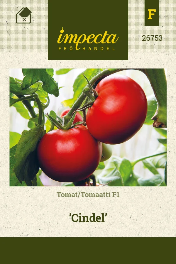 tomaatti_cindel-0674d8bebb0aa0.picture_manager_674d8bb938900.jpg