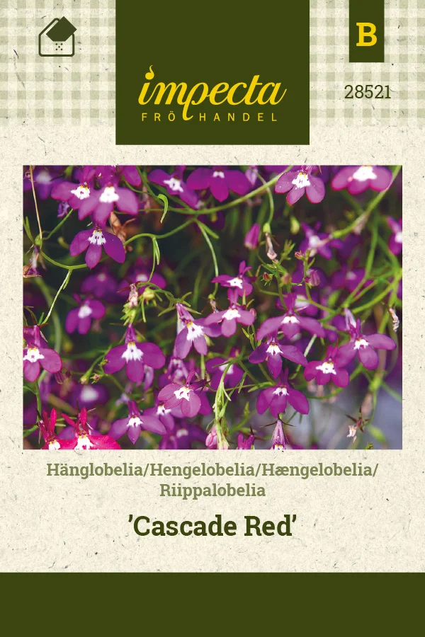 riippalobelia_cascade_red-0674d8bed591a1.picture_manager_674d8bbf74347.jpg