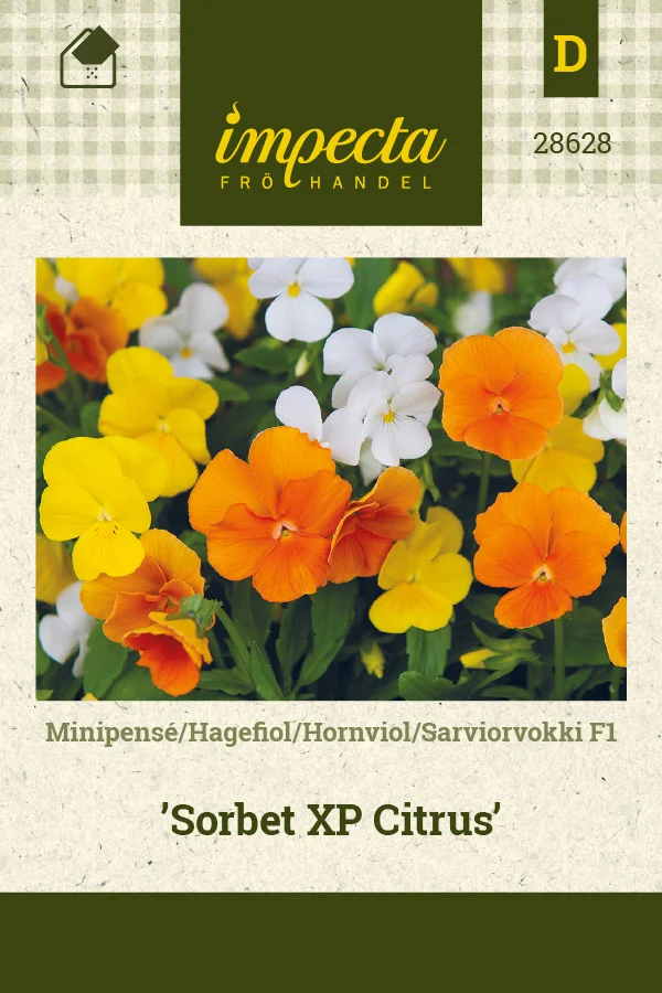 sarviorvokki_sorbet_xp_citrus-0674d8bed8901b.picture_manager_674d8bc05c90f.jpg