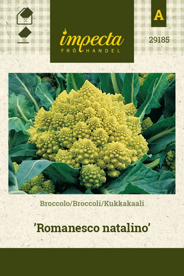 kukkakaali_romanesco_natalino-0674d8beec7e59.picture_manager_674d8bc754b3b.jpg