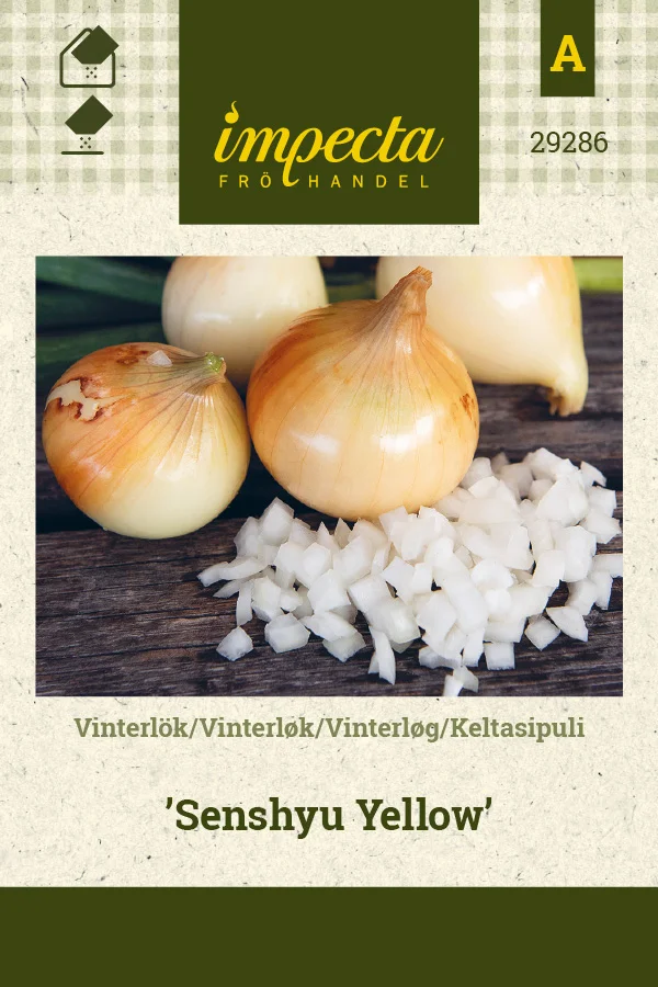 keltasipuli_senshyu_yellow-0674d8beedf7d6.picture_manager_674d8bc7c694c.jpg