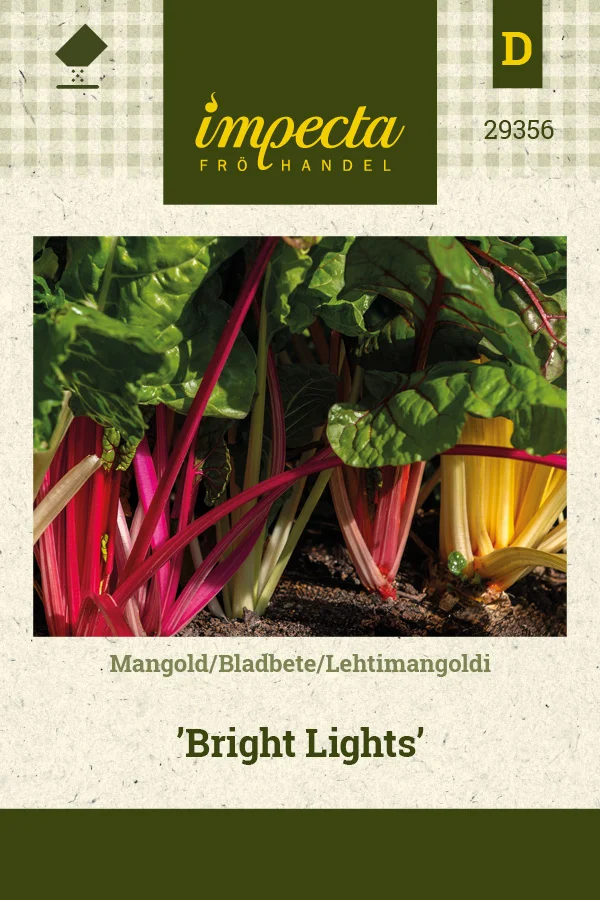 lehtimangoldi_bright_lights-0674d8bef126a7.picture_manager_674d8bc8b40d8.jpg