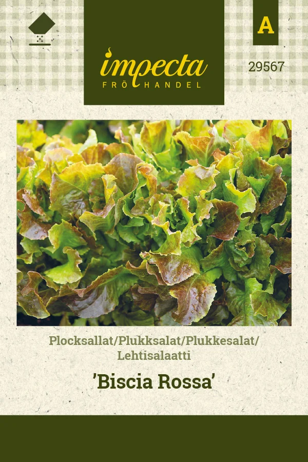 lehtisalaatti_biscia_rossa-0674d8befc4b6e.picture_manager_674d8bcb8ee1f.jpg