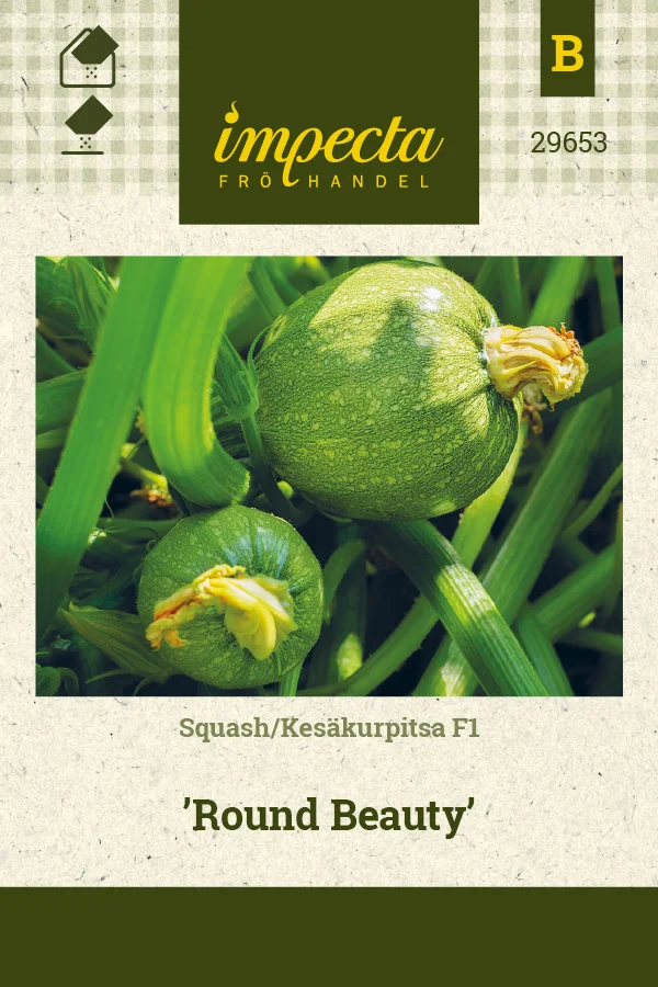 kesakurpitsa_round_beauty-0674d8bf03db36.picture_manager_674d8bcd9aa08.jpg
