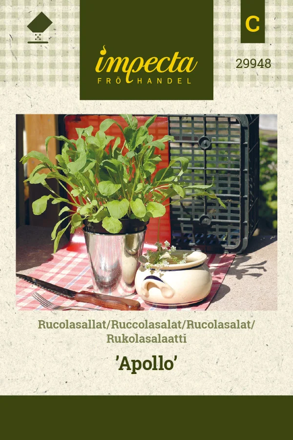rukolasalaatti_apollo-0674d8bf0caf01.picture_manager_674d8bd08e003.jpg