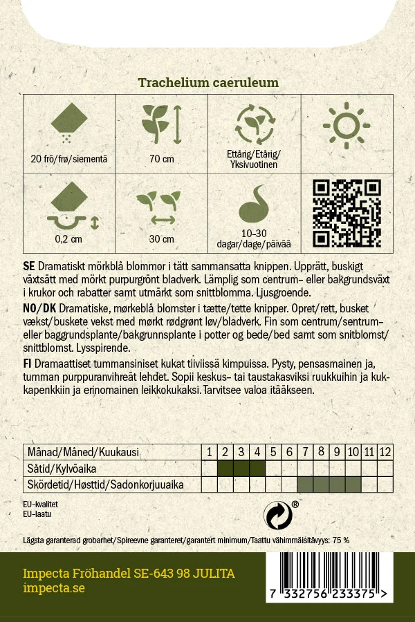 isosininuppi_black_knight-0674d8c73b70fd.picture_manager_674d8c06d119f.jpg
