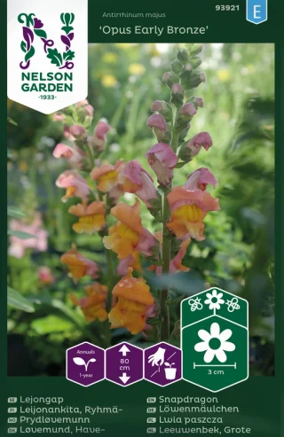 Lejongap 'Opus Early Bronze F1'