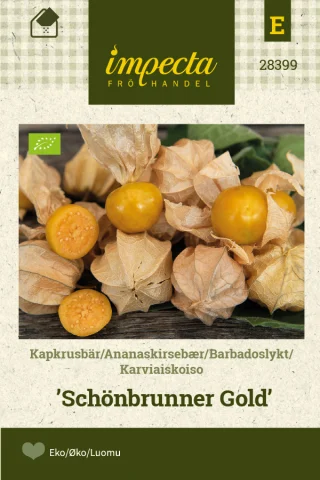 Kapkrusbär
