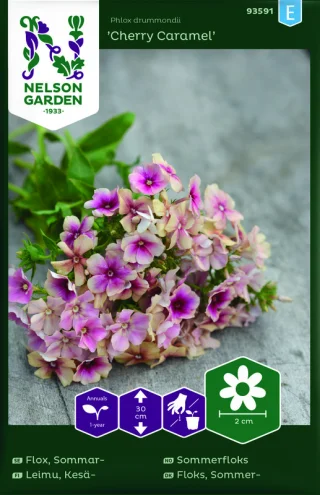 Kesäleimu 'Cherry Caramel'