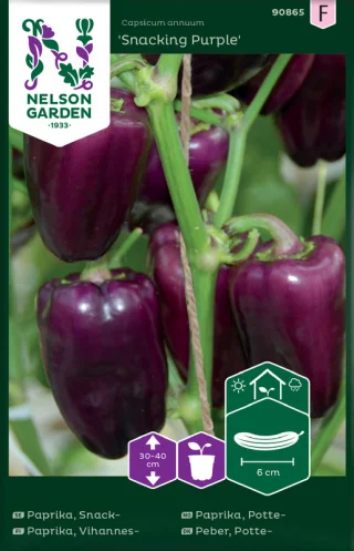 Paprika 'Snacking Purple'