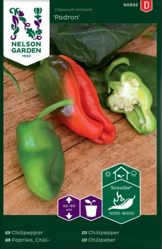 Chilipippuri 'Padron'