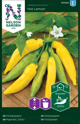 Chilipippuri 'Hot Lemon'