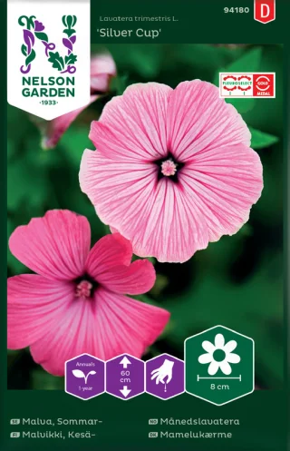 Malva, Sommar-, Silver Cup, rosa