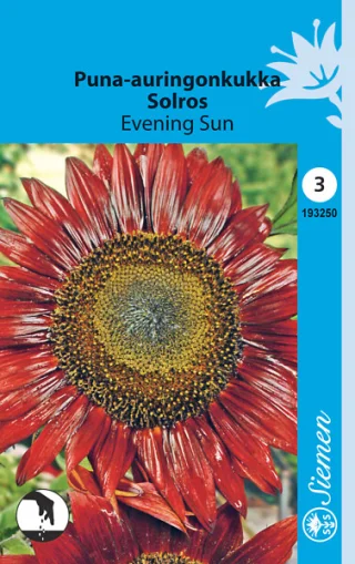 Puna-Auringonkukka
