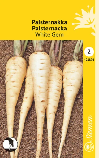 Palsternacka 'White Gem'