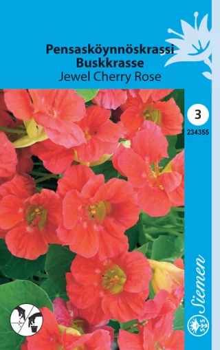 Slingerkrasse  'Jewel Cherry Rose'