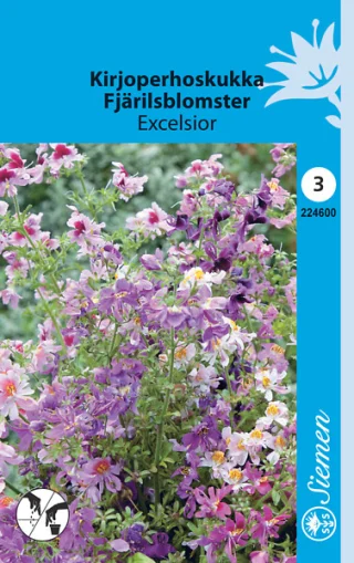 Fjärilsblomster 'Excelsior'