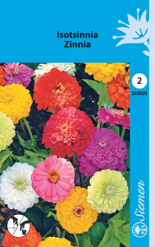 Zinnia mix