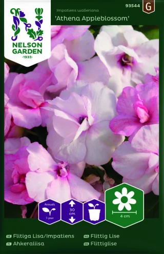 Flitiga Lisa Athena Appleblossom' F1