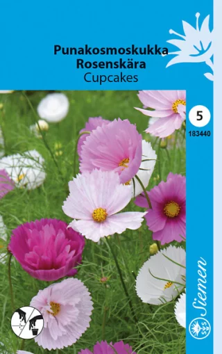 Rosenskära 'Cupcakes'