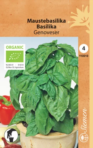 Eko Basilika 'Genoveser'