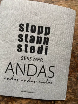 Disktrasa  'stopp stann stedi'