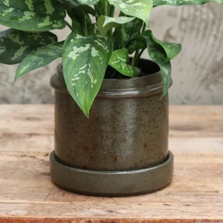 Ovar Olive green ruukku