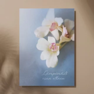Surunvalitteluadressi Punainen Risti