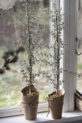 Keinotekoinen setri paperipussissa