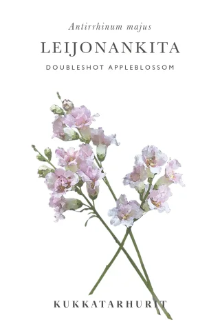 Leijonankita 'Doubleshot Appleblossom'