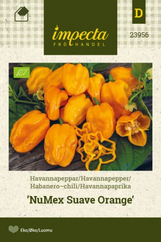 Havannapeppar 'NuMex Suave Orange'