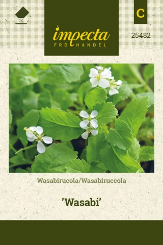 Wasabiruccola 'Wasabi'