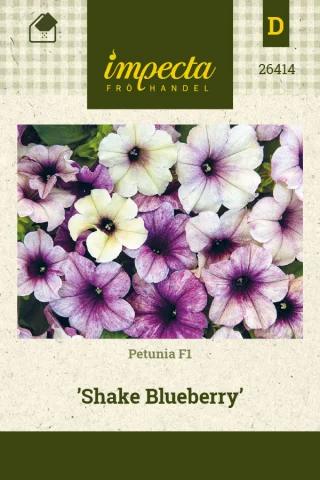 Petunia 'Shake Blueberry'