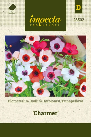 Blomsterlin 'Charmer'